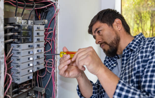 Best Electric Panel Repair  in Lake Ozark, MO